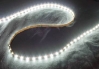 Self-Adhesive Waterproof 2 inch 3 Lights LED Light Strip - White - LED-WP-White