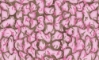 Body Skin Custom Transfer, Pink Camo - PIN3985