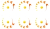 Wheel Flare, Juiced - PIN4068