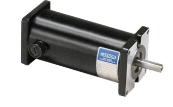 Leeson M1120046 Motor