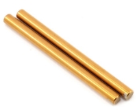 Rear Inner Hingepin (2): losi 22