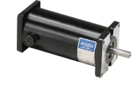 Leeson M1120046 Motor