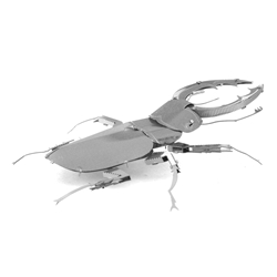 Metal Earth - Stag Beetle - Metal Sculpture Kit